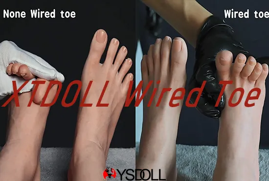 XT Wired Toe Sexpuppen